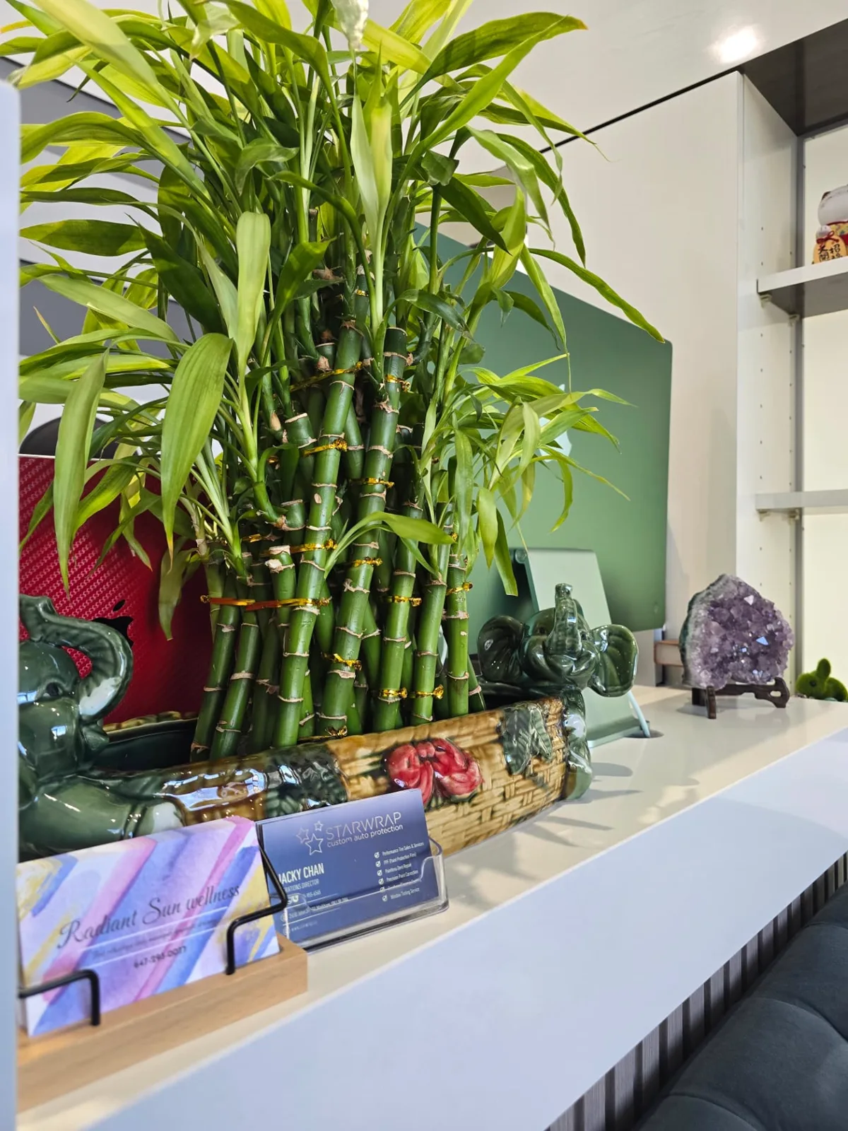 Lucky bamboo in a ceramic planter on the reception counter, beside business cards and an amethyst cluster.