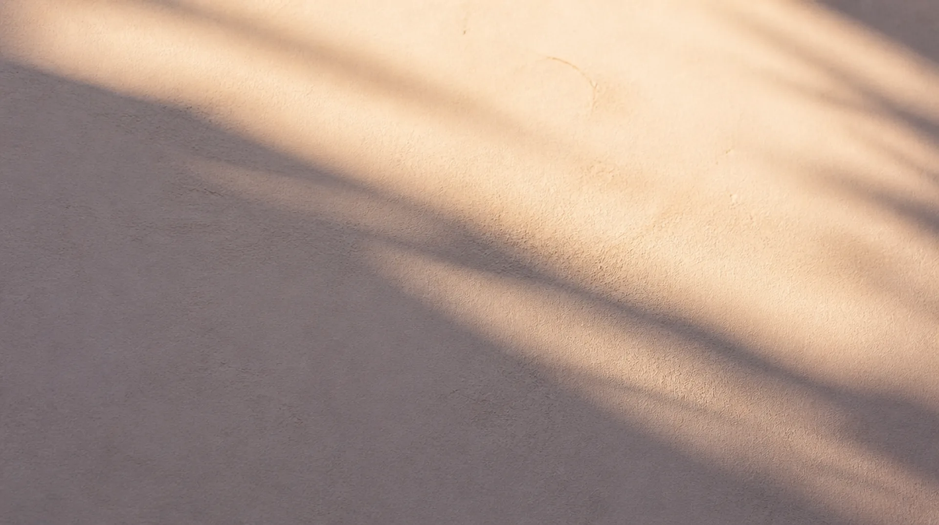 Warm afternoon sunlight falling across a textured cream wall.